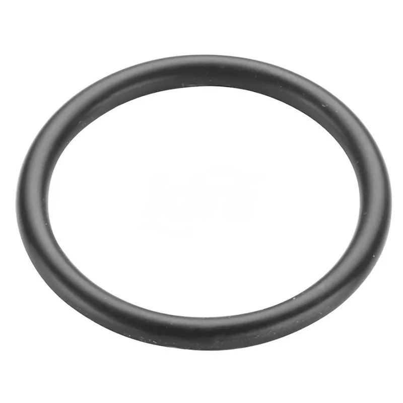 Guarnizioni per Nipple Comby (conf. 10 pz) SKGUS - Guarnizioni / O-Ring