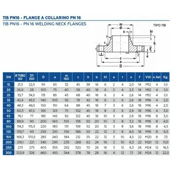 FLANGIA COLLARINO PN 16 DN300 TY11160300 - A saldare per tubi PED/PEHD