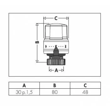 Comando termostatico per valvole radiatori termostatizzabili e termostatiche,  sensore incorporato con elemento sensibile a liquido