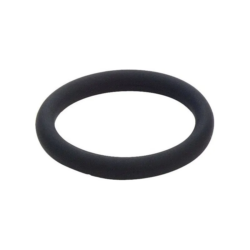 2286 anello o-ring fkm nero ø15,1x2,6 459390 459390 - Guarnizioni / O-Ring