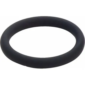 2286 anello O-ring FKM nero ø18,2x2,6 459406 - Guarnizioni / O-Ring